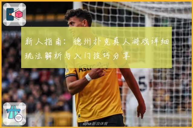 新人指南：德州扑克真人游戏详细玩法解析与入门技巧分享