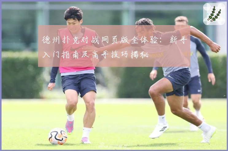 德州扑克对战网页版全体验：新手入门指南及高手技巧揭秘