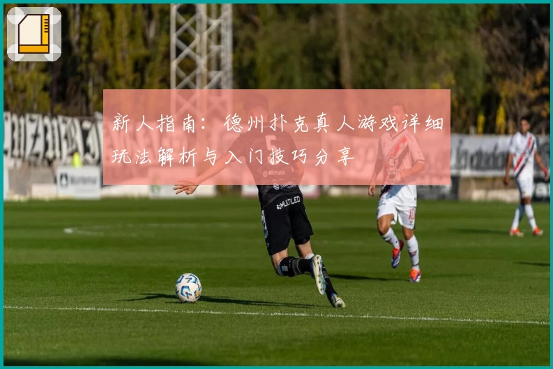 新人指南：德州扑克真人游戏详细玩法解析与入门技巧分享