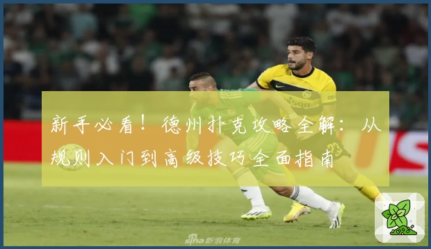 新手必看!德州扑克攻略全解:从规则入门到高级技巧全面指南