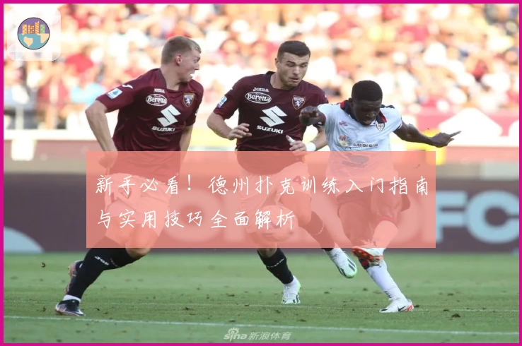 新手必看！德州扑克训练入门指南与实用技巧全面解析