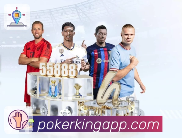 体育平台欢迎图